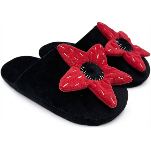 Pantuflas de la Otra Dimensión